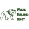 Wests Lions 1st Grade